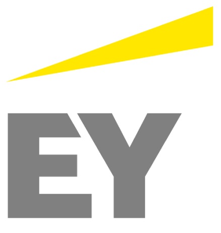 Channing P. Flynn | Partner, International Tax and Transaction Services | Global Tax Technology Sector Leader